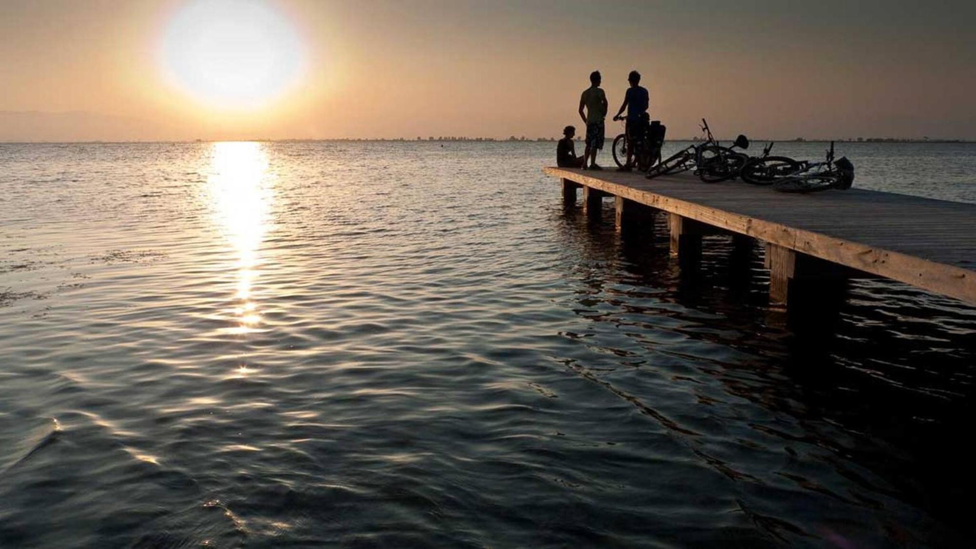 Eucaliptus - Casa En El Delta Para Disfrutar De La Playa Del Trabucador - Deltavacaciones L'Eucaliptus Dış mekan fotoğraf
